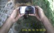 Tutorial de collar de perro de código de QR, prueba de vídeo