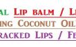 Bálsamo natural para los labios lápiz labial con aceite de coco al talón agrietado labios o agrietada de los talones. 