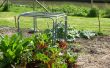 Cómo hacer una jaula de protección vegetal modular. ¿ 