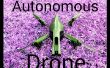 Loro autónoma AR Drone 2.0 vuelo
