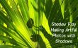 Sombras chinescas: Hacer una fotos con sombras