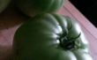 Salsa de tomate verde