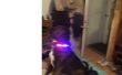 Intermitente LED collar de seguridad de perro! 