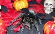 Disfraz de Halloween de murciélago Tarantula