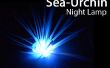 Luz de noche de erizo de mar! 