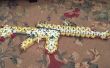 AK-47, M4 carabina, escopeta y mi nuevo desighn mag
