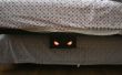 Monstruo debajo de la cama