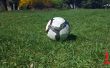 Cómo disparar correctamente un balón de fútbol
