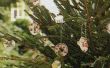 Ornamentos de árbol barato 'fácil ' helada ' n al aire libre de Navidad