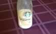 &iquest;DIY Starbucks Frappachino vainilla