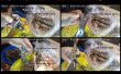 C&oacute;mo limpiar todo gambas &sol; camarones - &lpar;corte&comma; shell&comma; quite la vena y limpiar&rpar;