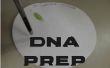 Preparación de ADN disco de papel