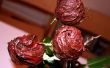 Rosas comestibles cubiertos de Chocolate