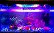 Iluminación del acuario LED || Intensidad alta || Mejorar color de pescado
