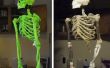 DIY esqueleto hechas de palos, cuerdas, espuma y Mache'