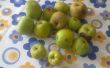 Pastel de manzana micro Cat