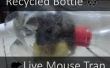 Reciclado directo ratón trampa