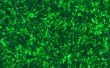 Deje las células exhiben brillante luz verde--in situ de GFP de transfección
