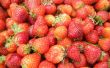 Fresas (foto concurso rojo semana)