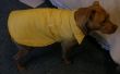 Capa resistente a la intemperie para mascota