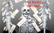 Modelo del esqueleto humano