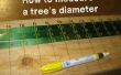 Fabricación de cintas especiales para medir diámetros de árboles! 