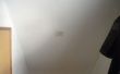 BROMA DE LOS TONTOS DE ABRIL&colon; ATAQUE DE LAS BETTYS&excl; 