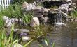 Estanque o jardín de agua - cómo construir el estanque del patio