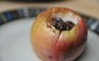 Cómo hacer canela al horno las manzanas en el microondas