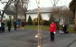 Mentos geyser