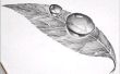 Dibujo a lápiz de arte 3D fácil: Cómo dibujar gota de rocío 3D en hojas