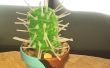 Falso Cactus con espinas de Zip Tie