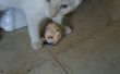 Un segundo 30 gato/perro de juguete! 