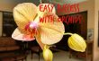 Éxito fácil con orquídeas