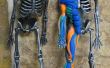 Sugru y un esqueleto de Halloween una anatomía del músculo