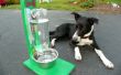 El Awesomest más fácil el depósito de agua para perros y gatos! 