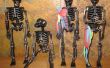 Aprender anatomía muscular con un esqueleto de Halloween