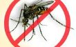 Dengue el repelente de Mosquito - Repelente para mosquitos de Dengue