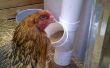 Alimentación del pollo de PVC