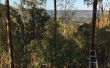 DIY árbol MANOR - día de Australia listo