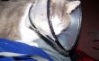 Cat c&oacute;micamente Simple cono consolador del Dr&period; el BoB