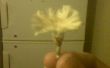 Hacer una flor de un cigarro