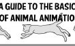 Una guía de los fundamentos de la animación Animal