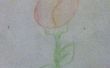 Cómo dibujar un tulipán