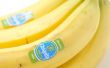 Craigslist Chiquita Banana broma
