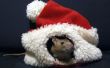Sombreros de rata de Santa