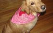 Cómo hacer una bufanda de San Valentín Bandana para tu perro o cachorro