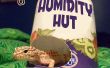 Reciclado de Gecko humedad choza