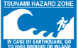 Qué hacer en caso de un tsunami