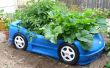 Caja de verduras del coche de la raza